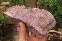 Natural Stichtite Specimens x 2 From Barberton, South Africa