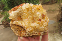 Natural Limonite Quartz Specimens x 12 From Zambia