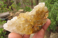 Natural Limonite Quartz Specimens x 12 From Zambia