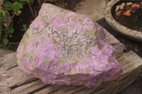 Natural Stichtite Specimen x 1 From Barberton, South Africa