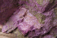 Natural Stichtite Specimen x 1 From Barberton, South Africa