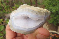 Polished On One Side Blue Lace Agate Geode Specimens x 12 From Malawi