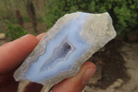 Polished On One Side Blue Lace Agate Geode Specimens x 12 From Malawi