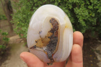 Polished Dendritic Agate Standing Free Forms x 6 From Madagascar