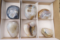 Polished Dendritic Agate Standing Free Forms x 6 From Madagascar