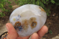 Polished Dendritic Agate Standing Free Forms x 6 From Madagascar