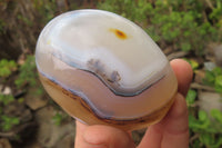 Polished Dendritic Agate Standing Free Forms x 6 From Madagascar