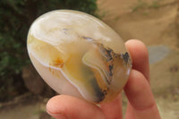 Polished Dendritic Agate Standing Free Forms x 6 From Madagascar