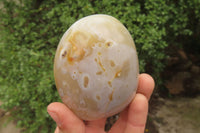 Polished Dendritic Agate Standing Free Forms x 6 From Madagascar