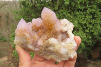 Natural Ametrine Spirit Quartz Clusters x 3 From Boekenhouthoek, South Africa