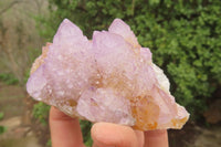 Natural Ametrine Spirit Quartz Clusters x 3 From Boekenhouthoek, South Africa