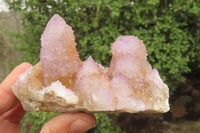 Natural Ametrine Spirit Quartz Clusters x 3 From Boekenhouthoek, South Africa