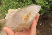 Polished Partially Arcadian Quartz Crystals x 3 From Angola