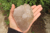 Polished Partially Arcadian Quartz Crystals x 3 From Angola