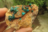 Natural Dioptase On Dolomite Specimens x 6 From Likasi, Congo