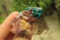 Natural Dioptase On Dolomite Specimens x 6 From Likasi, Congo