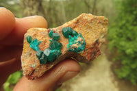 Natural Dioptase On Dolomite Specimens x 6 From Likasi, Congo