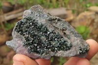 Natural Libethenite Crystals On Dolomite Matrix Specimens x 6 From Shituru, Congo