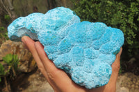 Natural Botryoidal Chrysocolla Specimen x 1 From Kulukuluku, Congo