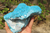 Natural Botryoidal Chrysocolla Specimen x 1 From Kulukuluku, Congo