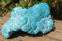 Natural Botryoidal Chrysocolla Specimen x 1 From Kulukuluku, Congo