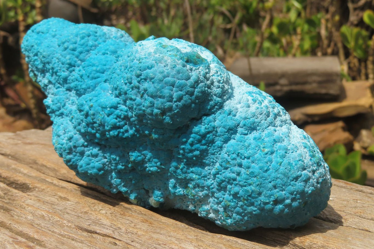 Botryoidal Malachite on Chrysocolla Specimen on sale Raw Natural from the Congo