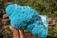 Natural Botryoidal Chrysocolla Specimen x 1 From Kulukuluku, Congo