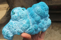 Natural Botryoidal Chrysocolla Specimen x 1 From Kulukuluku, Congo