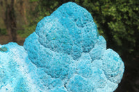 Natural Botryoidal Chrysocolla Specimen x 1 From Kulukuluku, Congo