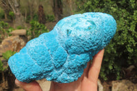 Natural Botryoidal Chrysocolla Specimen x 1 From Kulukuluku, Congo