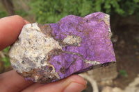 Natural Metallic Purpurite Cobbed Specimens x 12 From Erongo, Namibia