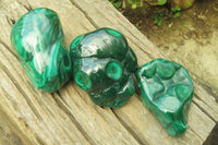 Polished Flower Banded Malachite Free Forms x 3 From Congo