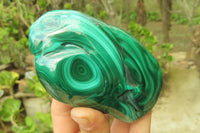 Polished Flower Banded Malachite Free Forms x 3 From Congo