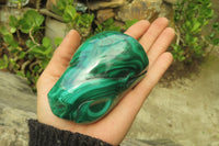 Polished Flower Banded Malachite Free Forms x 3 From Congo