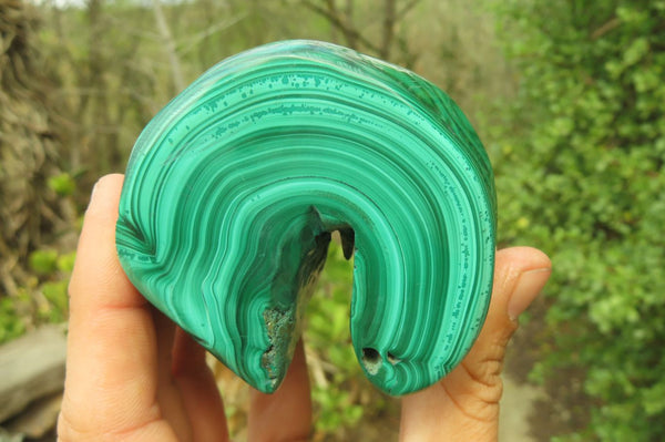 Polished Flower Banded Malachite Free Forms x 3 From Congo