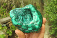 Polished Flower Banded Malachite Free Forms x 3 From Congo