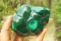 Polished Flower Banded Malachite Free Forms x 3 From Congo