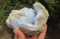 Natural Blue Lace Agate Geode Specimens x 5 From Malawi