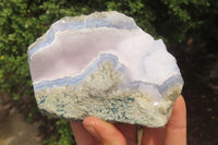 Natural Blue Lace Agate Geode Specimens x 5 From Malawi