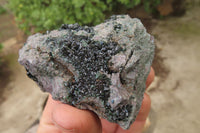 Natural Libethenite Crystals On Dolomite Matrix Specimens x 6 From Shituru, Congo