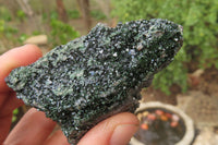 Natural Libethenite Crystals On Dolomite Matrix Specimens x 6 From Shituru, Congo