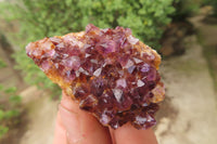 Natural Amethystos Amethyst Specimens x 12 From Kwaggafontein, South Africa