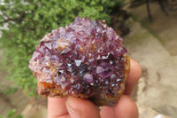 Natural Amethystos Amethyst Specimens x 12 From Kwaggafontein, South Africa