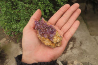 Natural Amethystos Amethyst Specimens x 12 From Kwaggafontein, South Africa