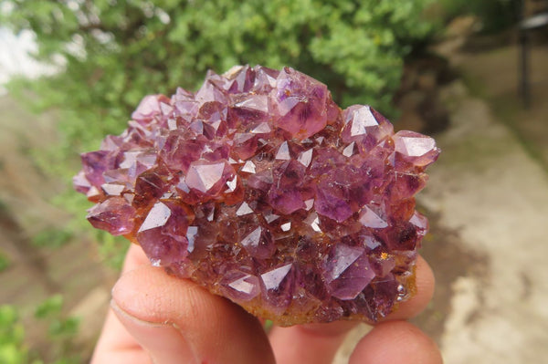 Natural Amethystos Amethyst Specimens x 12 From Kwaggafontein, South Africa