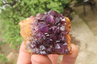 Natural Amethystos Amethyst Specimens x 12 From Kwaggafontein, South Africa