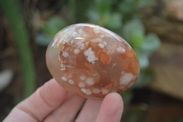 Polished Flower Agate Palm Stones x 12 From Madagascar