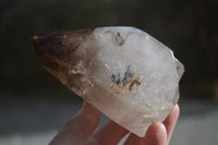 Polished Smokey Quartz Crystals x 2 From Madagascar