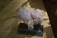 Natural Cactus Flower Spirit Quartz Clusters x 2 From Boekenhouthoek, South Africa