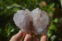 Natural Cactus Flower Spirit Quartz Clusters x 2 From Boekenhouthoek, South Africa